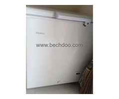 Haire Door Freezer Brand New Jesa